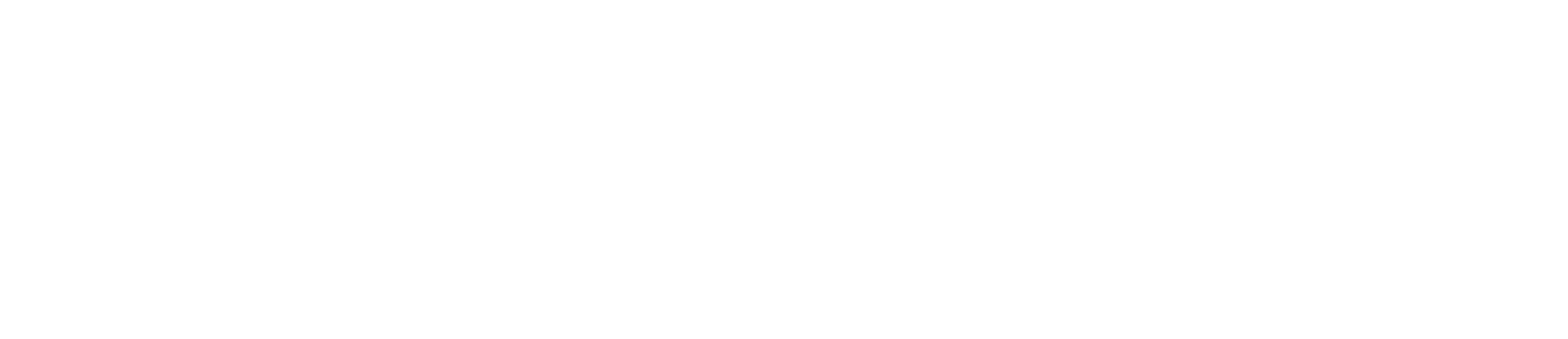 Amnesia Records